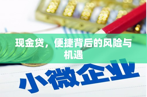 潼南现金贷，便捷背后的风险与机遇