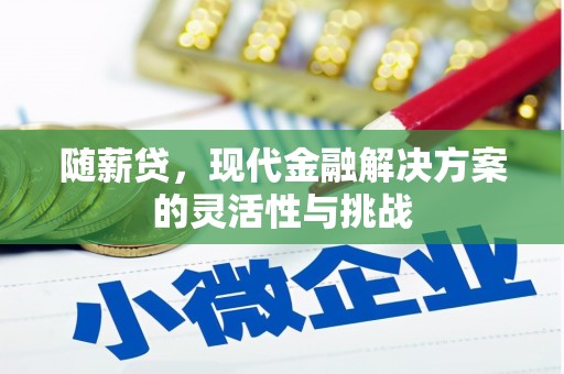 潼南随薪贷，现代金融解决方案的灵活性与挑战