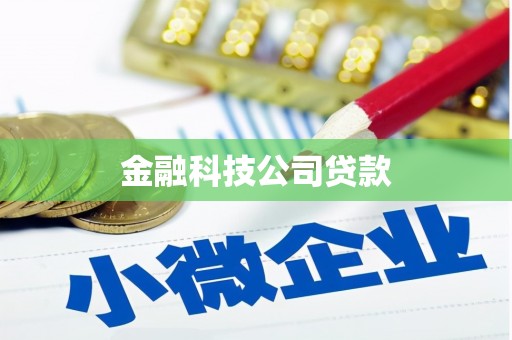 潼南金融科技公司贷款