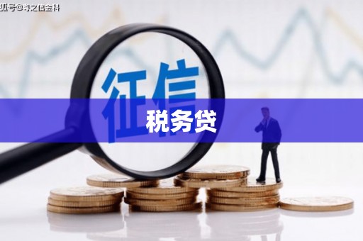 潼南税务贷