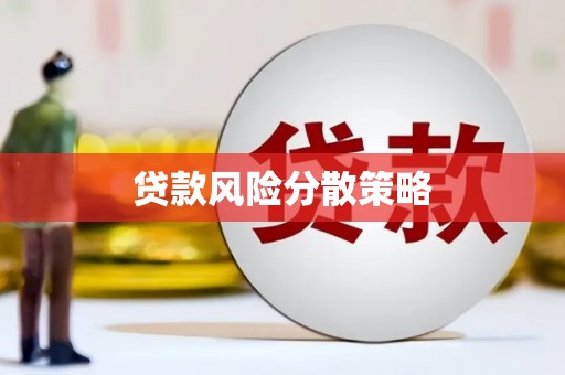 潼南贷款风险分散策略