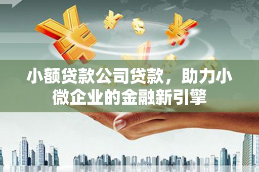 潼南小额贷款公司贷款，助力小微企业的金融新引擎