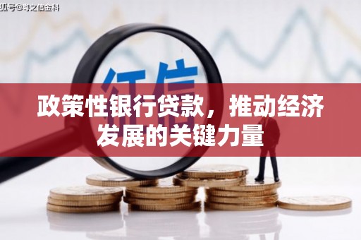 潼南政策性银行贷款，推动经济发展的关键力量