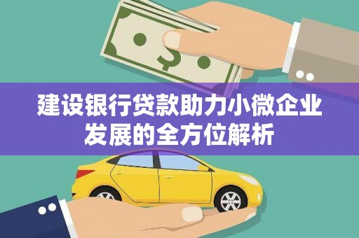 潼南建设银行贷款助力小微企业发展的全方位解析