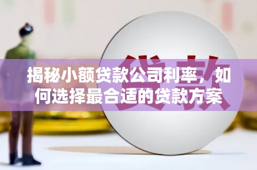 潼南揭秘小额贷款公司利率，如何选择最合适的贷款方案