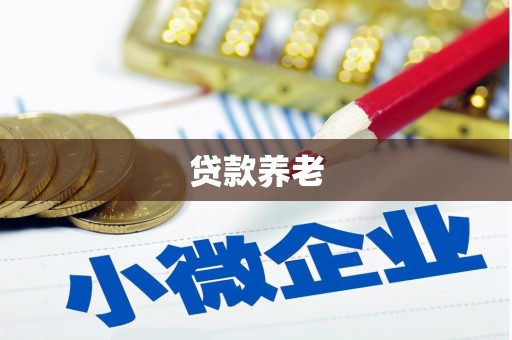 潼南贷款养老