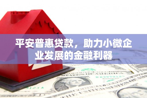 潼南平安普惠贷款，助力小微企业发展的金融利器