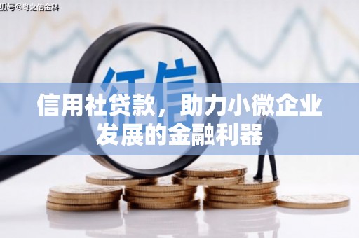 潼南信用社贷款，助力小微企业发展的金融利器