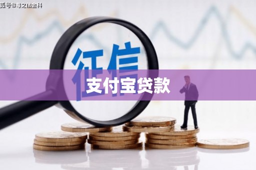 潼南支付宝贷款