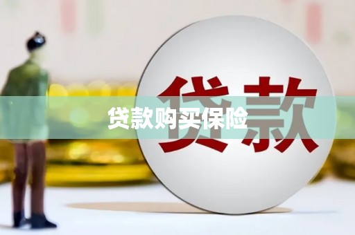 潼南贷款购买保险