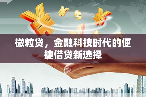 潼南微粒贷，金融科技时代的便捷借贷新选择