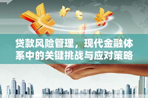 潼南贷款风险管理，现代金融体系中的关键挑战与应对策略