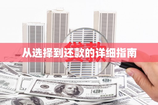 潼南从选择到还款的详细指南