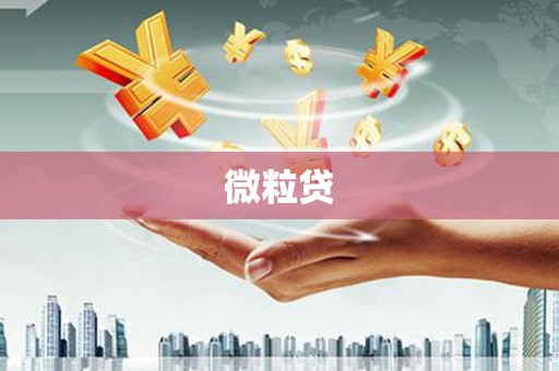 潼南微粒贷
