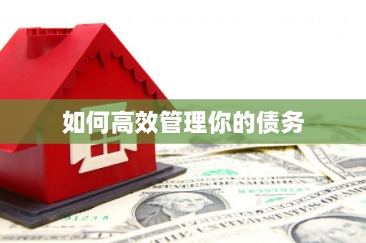 潼南如何高效管理你的债务