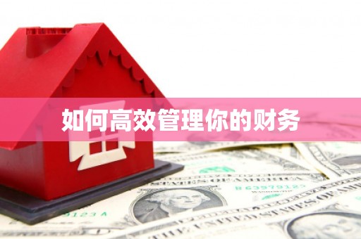 潼南如何高效管理你的财务