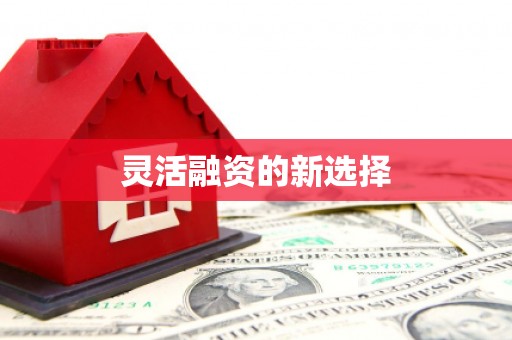 潼南灵活融资的新选择