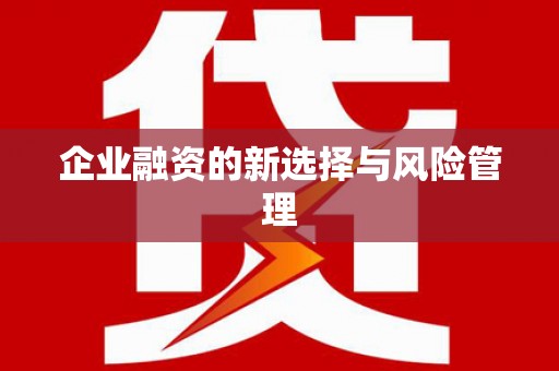 潼南企业融资的新选择与风险管理