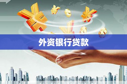 潼南外资银行贷款