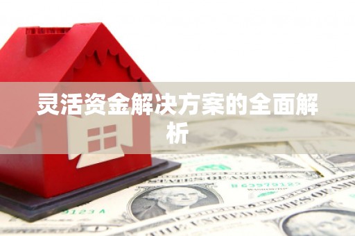 潼南灵活资金解决方案的全面解析